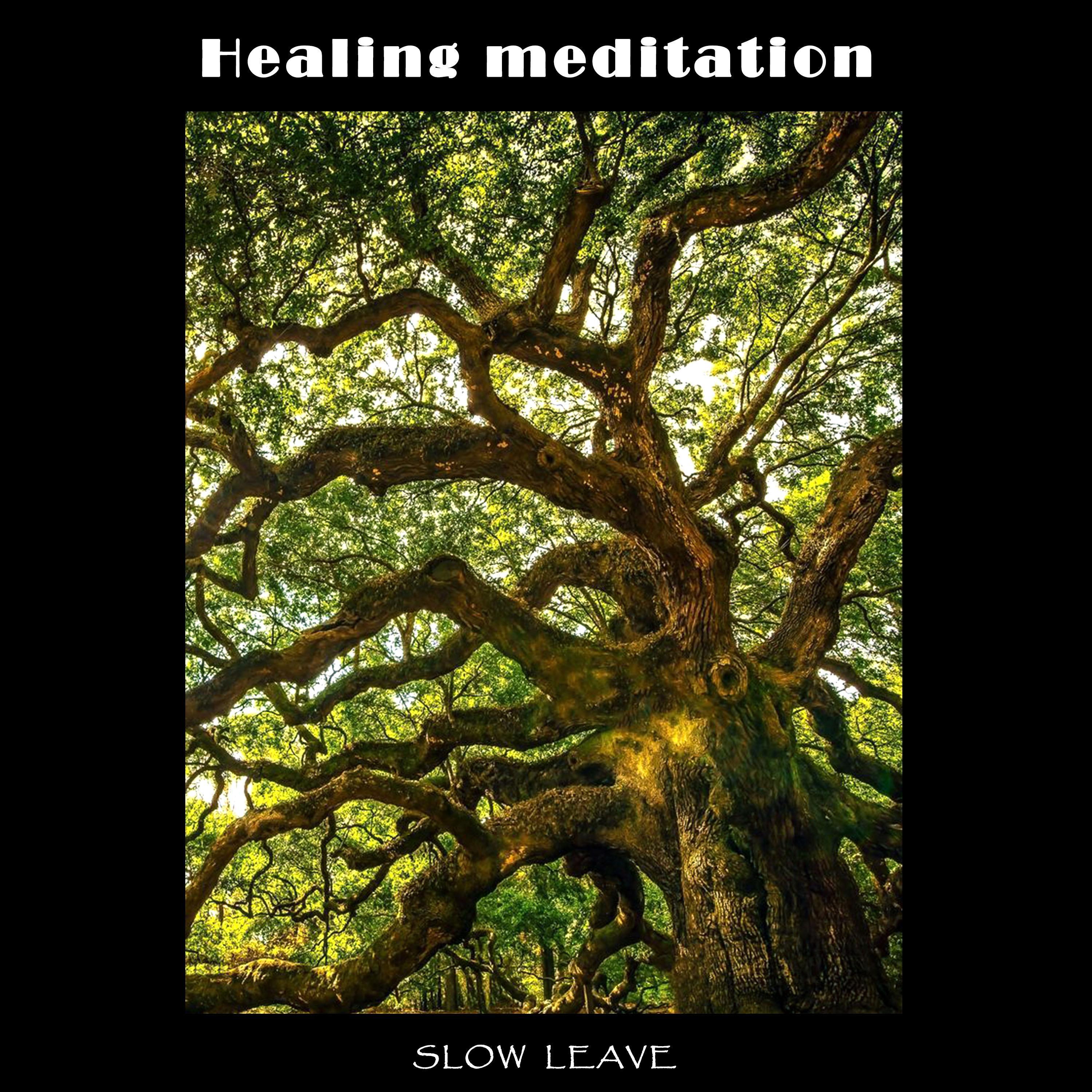 Healing Meditation