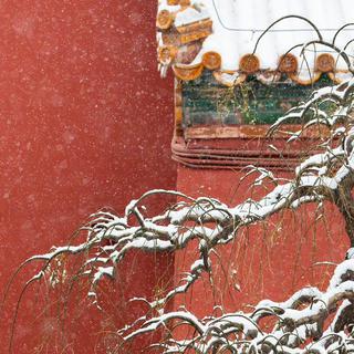 「大雪」小酌一杯炉火前 白色人间又一年
