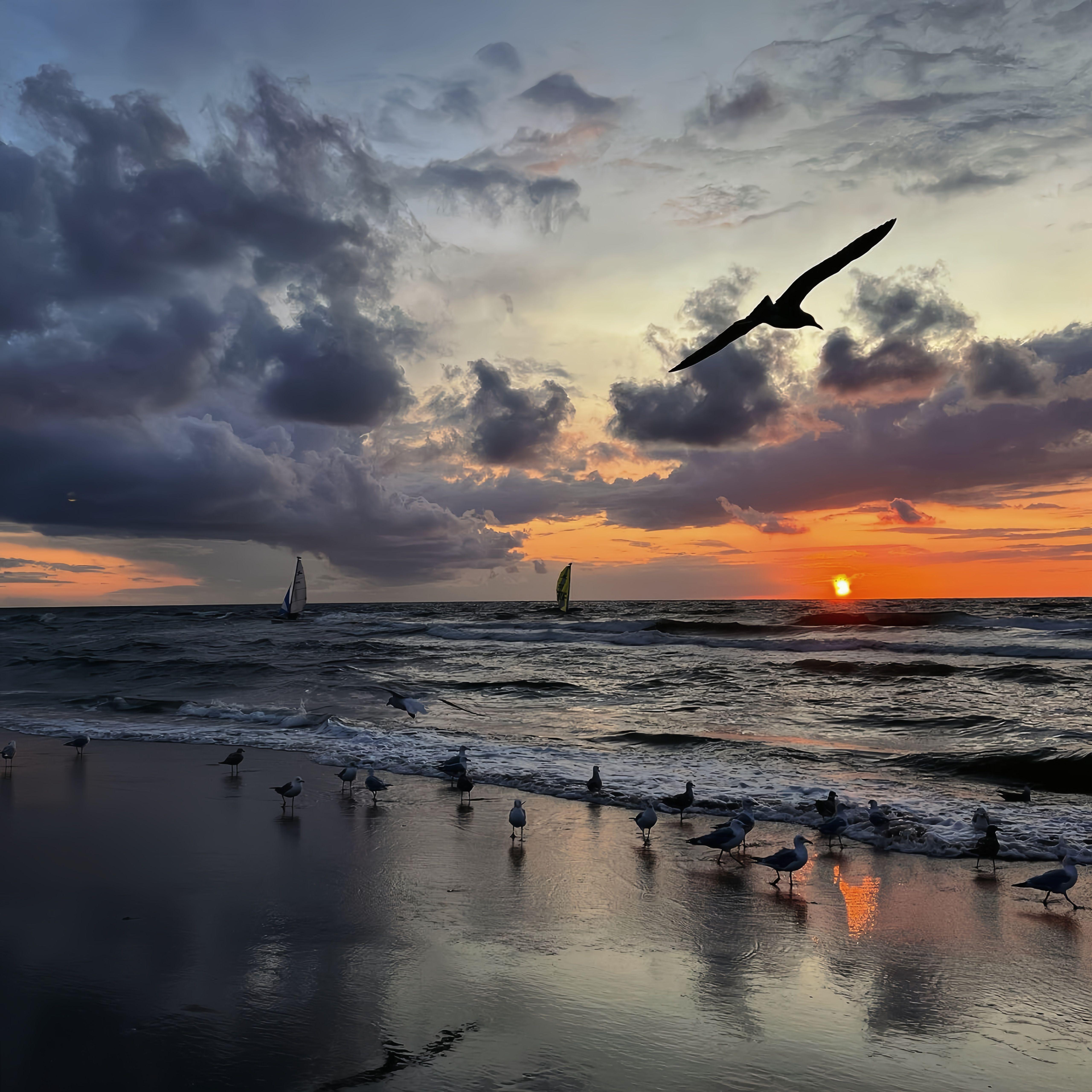 HARU HARU（CVPPY remix）