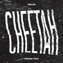 CHEETAH ITSELF专辑