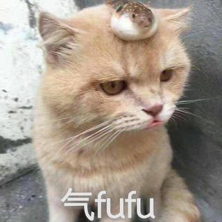 戏如人生【古风戏腔】