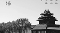 宫墙专辑
