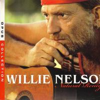 Willie Nelson-Mammas Don'T Let Your Babies Grow Up To Be Cowboys 伴奏 无人声 伴奏 更新AI版