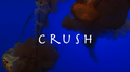 Crush！专辑