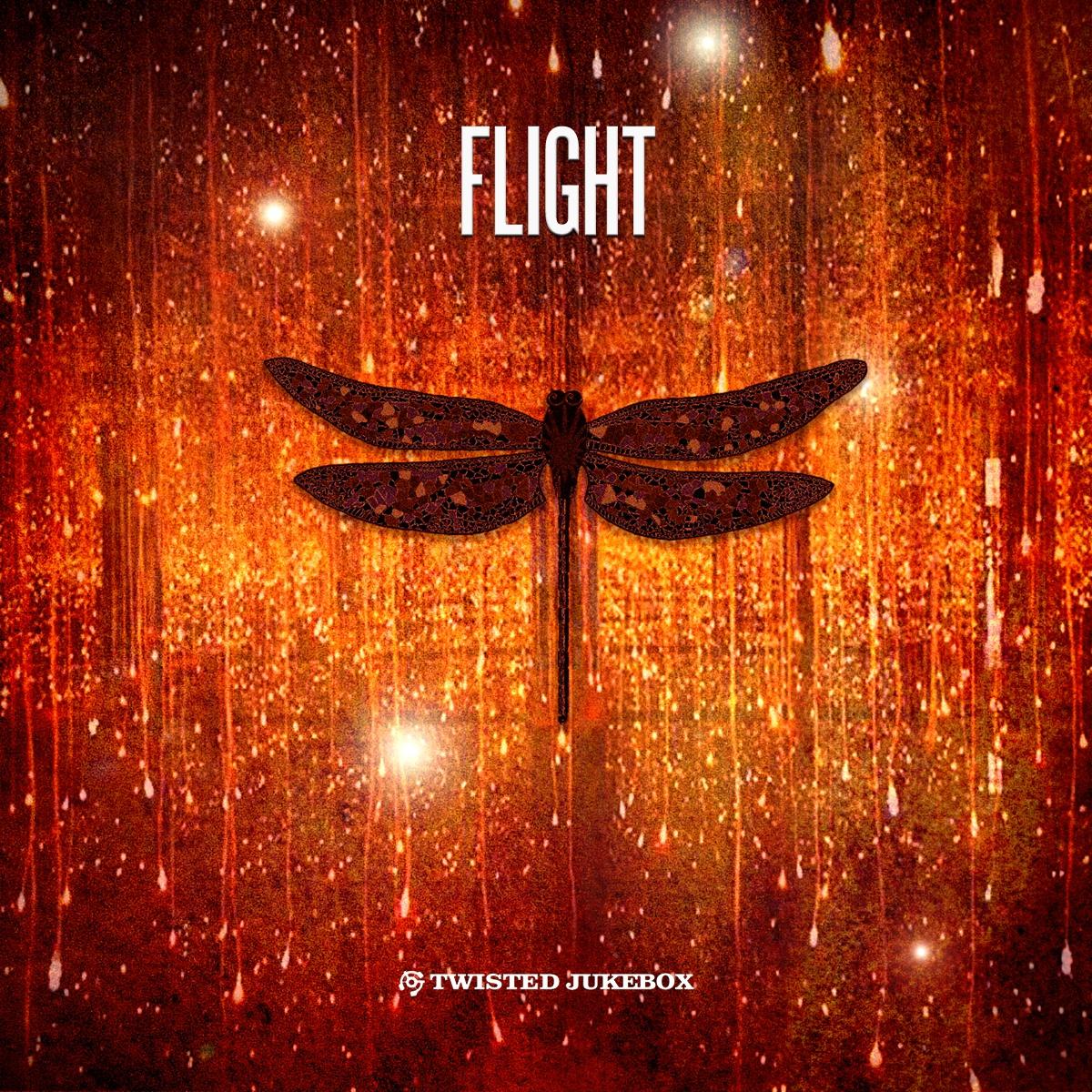 Flight
