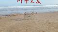那年炎夏（2023版）专辑