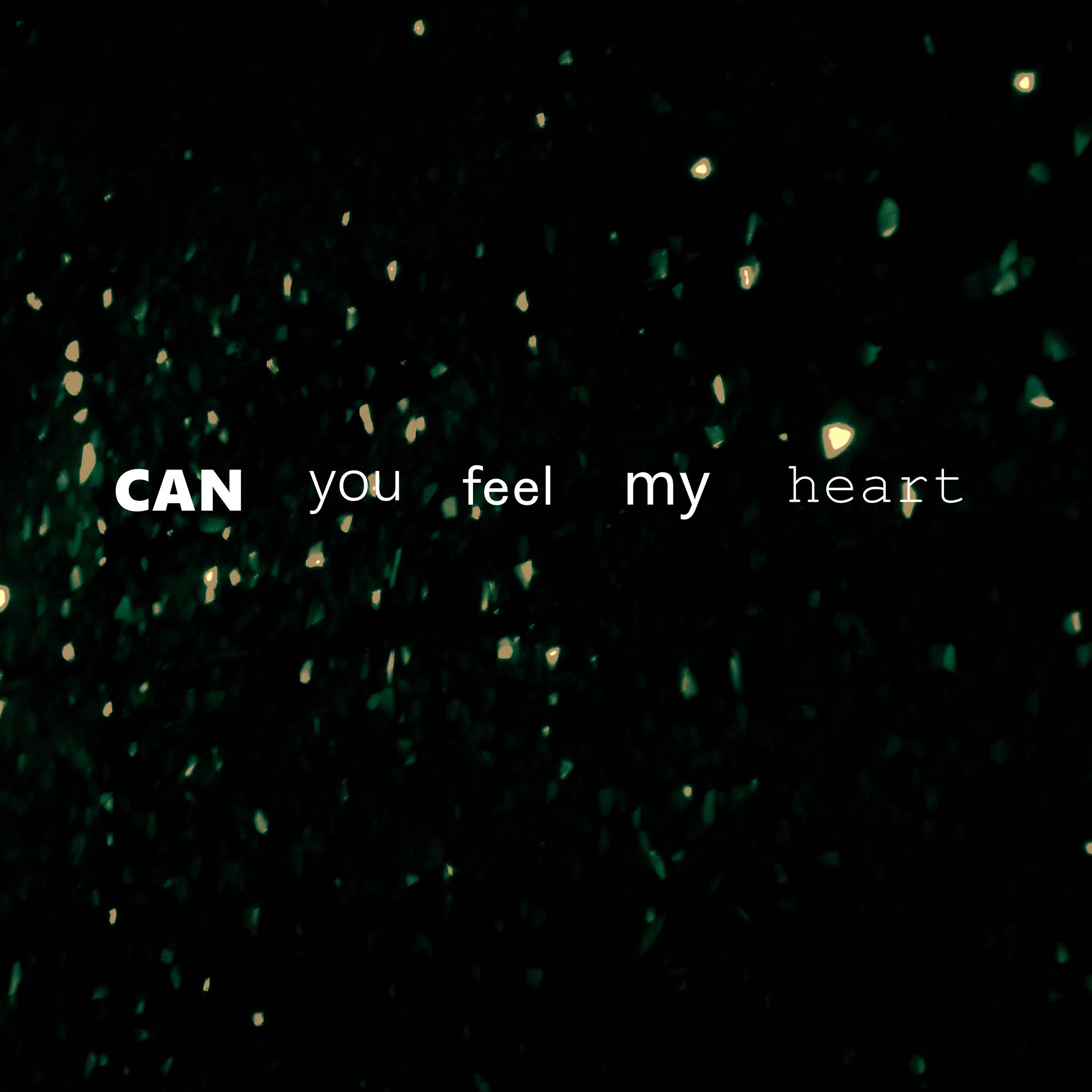 Can You Feel My Heart(Cyan Lpegd Bootleg)专辑