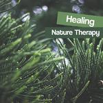 Healing Nature Therapy – Soothing Waves of Calmness, Stress Relief, New Age Music, Inner Silence专辑