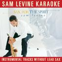 Sam Levine Karaoke - Sax For The Spirit专辑