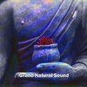 Grand Natural Sound专辑