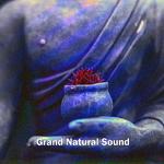 Grand Natural Sound专辑