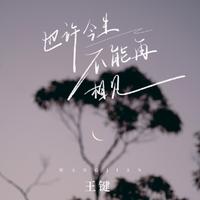 王键 - 也许今生不能再相见 (DJ九零版伴奏)