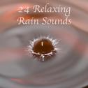 Rain Sounds: 24 Loopable Relaxing Ambient Rain Sounds for Sleep, Meditation, Yoga and Babies专辑