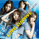 LOVE SURVIVE专辑