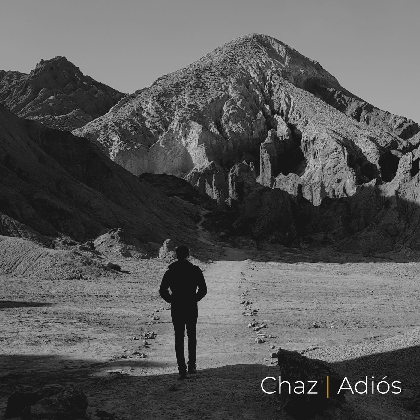 Adiós