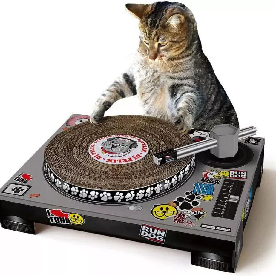 你是人间的四月天（DJ另类伴奏）