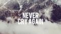 Never Cry Again (Stormerz Bootleg)专辑