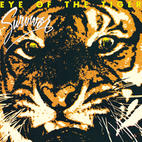 Survivor - Eye Of The Tiger ( Karaoke )