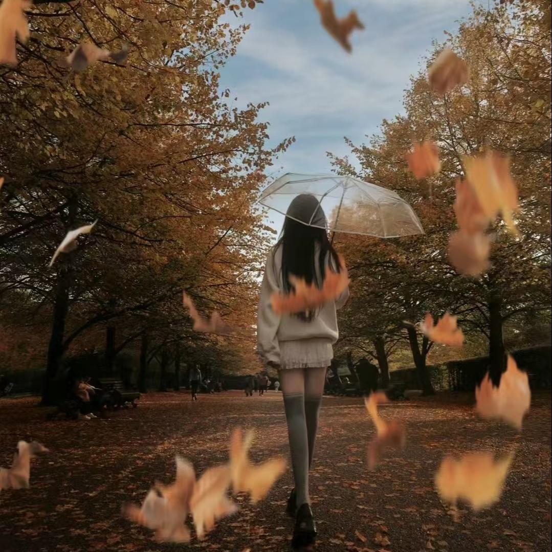 吉泽树歌曲封面