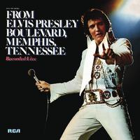 原版伴奏   For The Heart - Elvis Presley (karaoke)