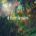 Hot rain专辑