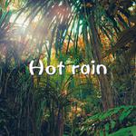 Hot rain专辑