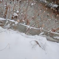 霜雪千年