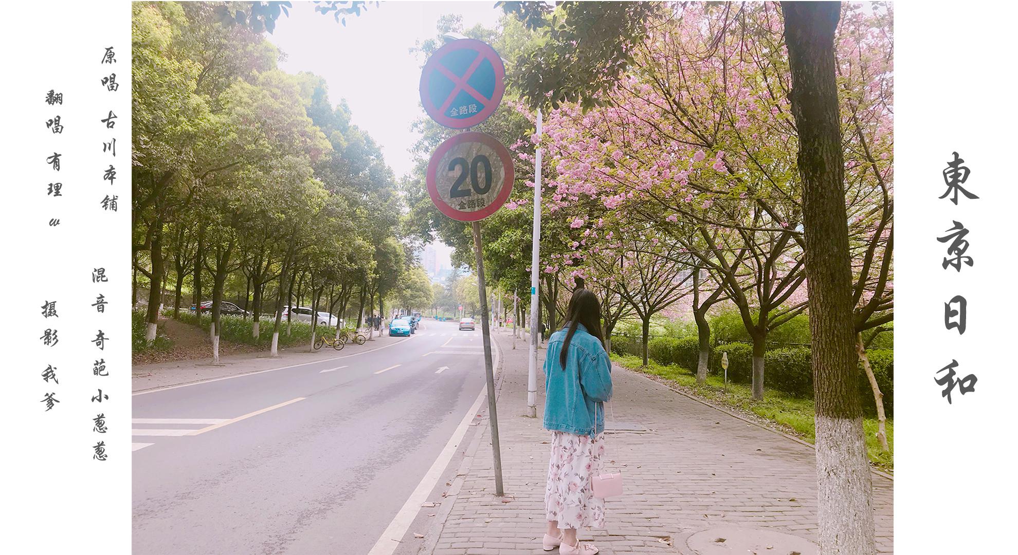 東京日和专辑