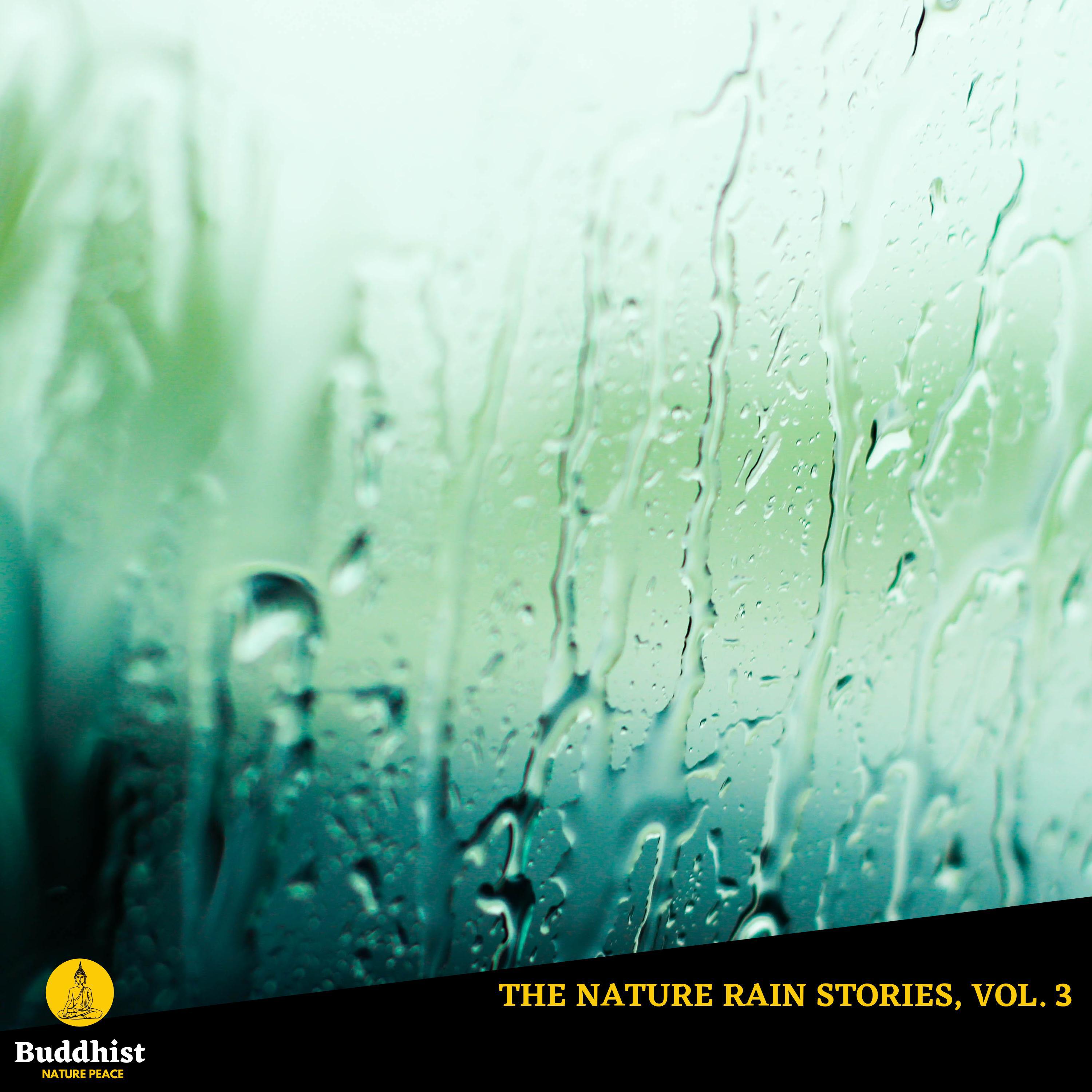 Earthy Rain Therapies - Peace in Woodland Forest