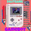 游戏男孩 (GameBoy)