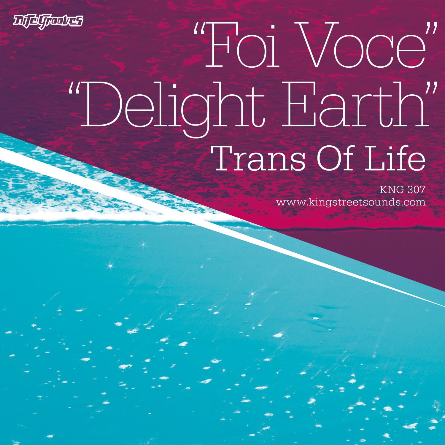 Foi Voce / Delight Earth