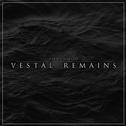 VESTAL REMAINS专辑