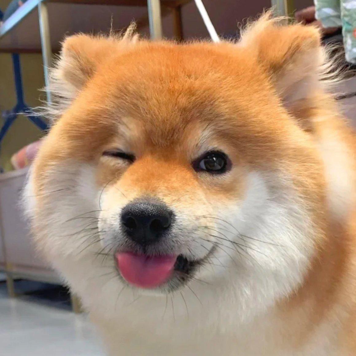 友谊万岁 ♡ 愿我们的友谊 地久天长