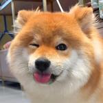 友谊万岁 ♡ 愿我们的友谊 地久天长