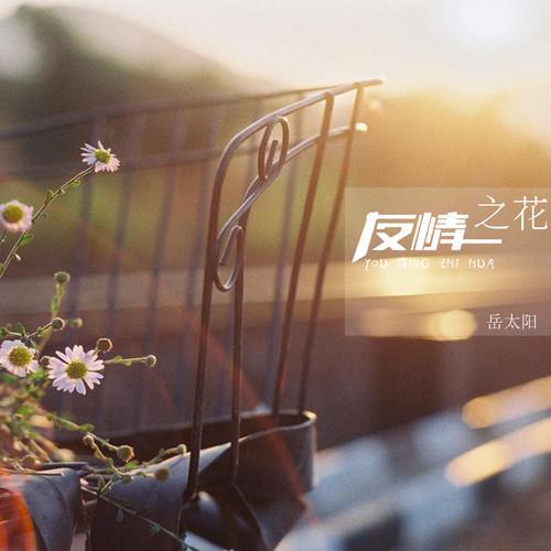 友情之花
