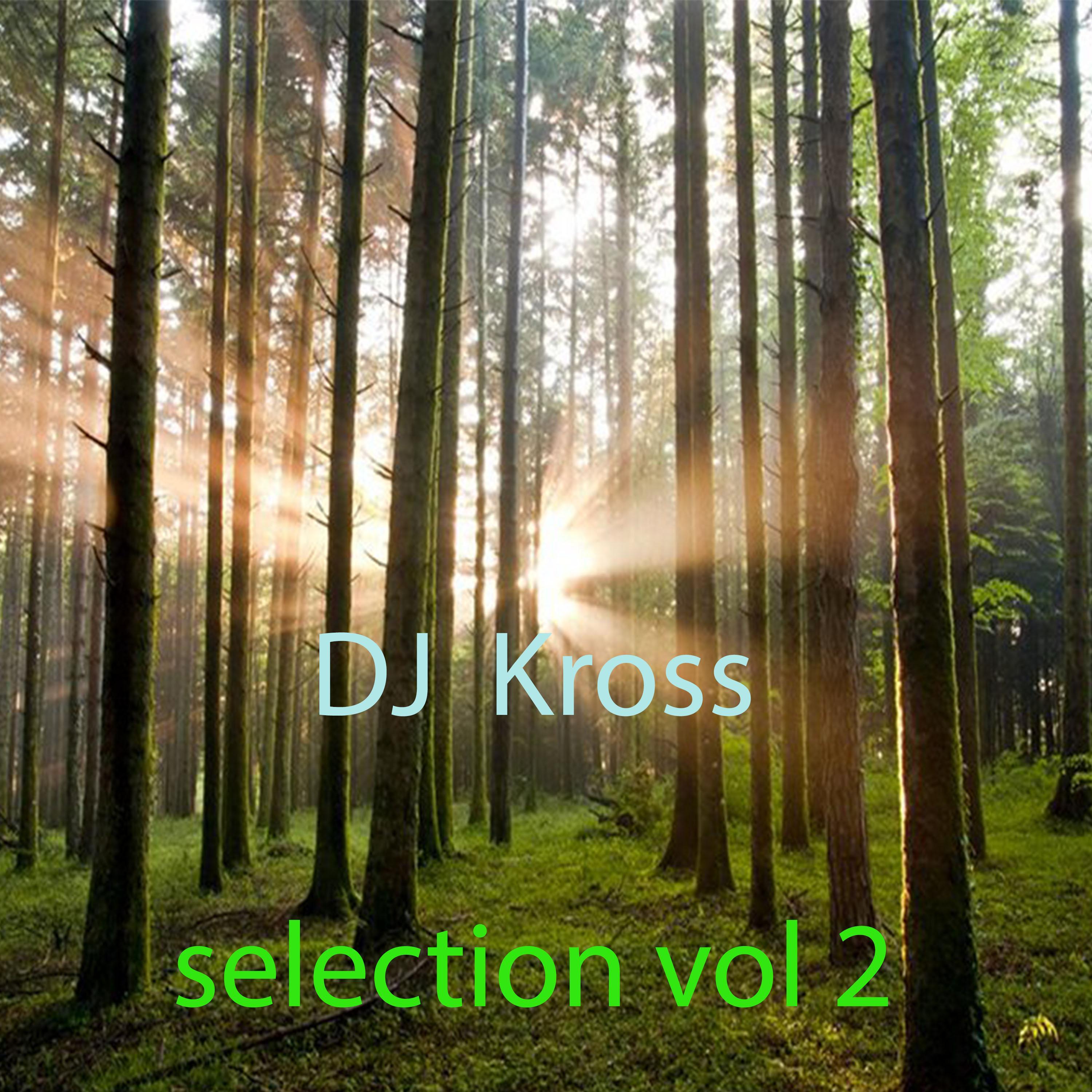 Selection, Vol. 2