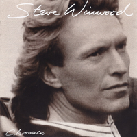 Steve Winwood - Higher Love (karaoke)