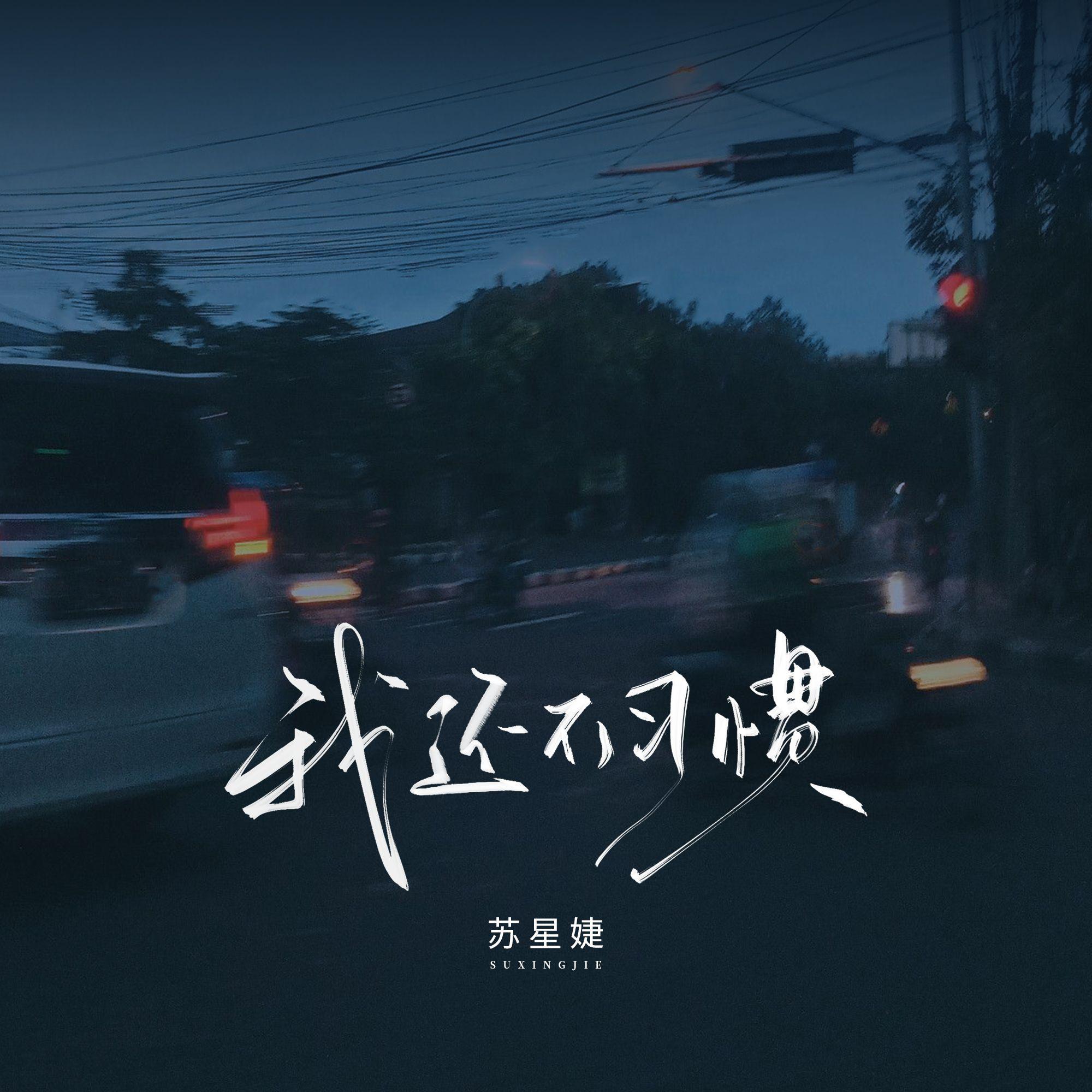 我还不习惯专辑