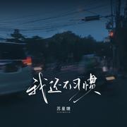 我还不习惯