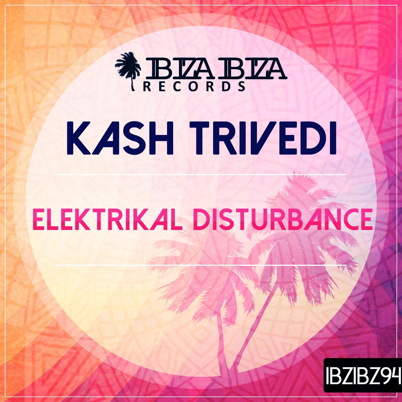 Elektrikal Disturbance
