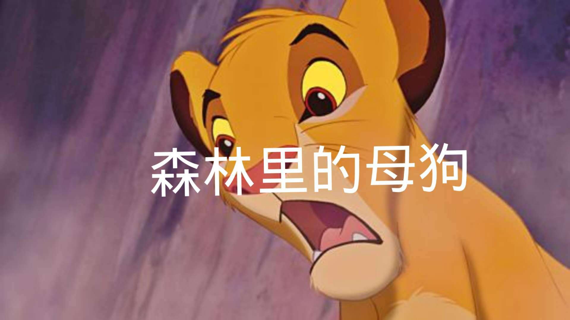 森林里的母狗（Diss Simba）专辑