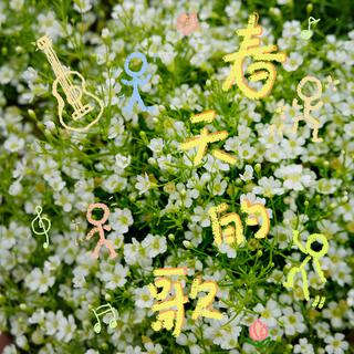 【网络热曲】情感如水流 水止情难收