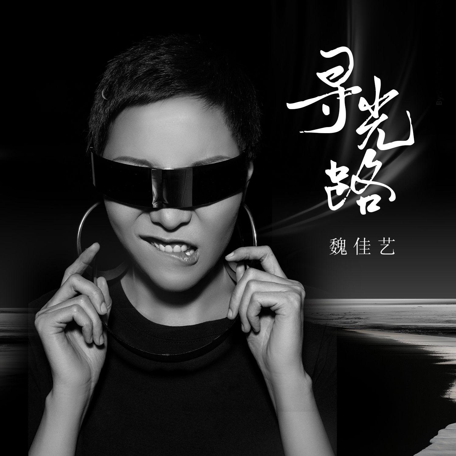 寻光路(烟嗓版)