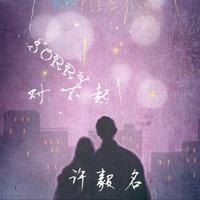 原版伴奏 Sorry 对不起 - 胡艾彤 ( 44.1KHz,320Kbps,20KHz )