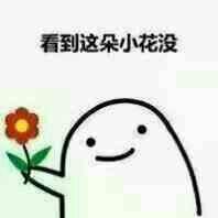 胡乱听