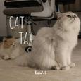 Cat Tax