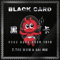 [消音伴奏] 黄子韬   GAI周延 - 黑卡 (BLACK CARD) 伴奏