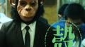 壳专辑