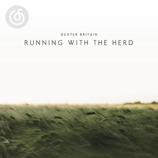 当代古典音乐精选|从《Running with the Herd》听起