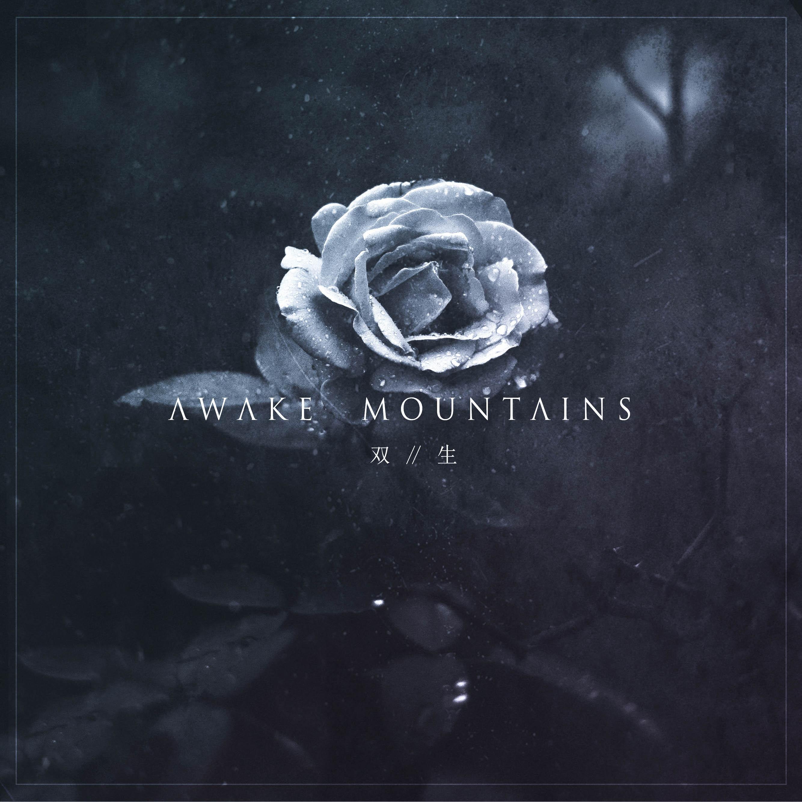 双生- 醒山awakemountains - 单曲 - 网易云音乐